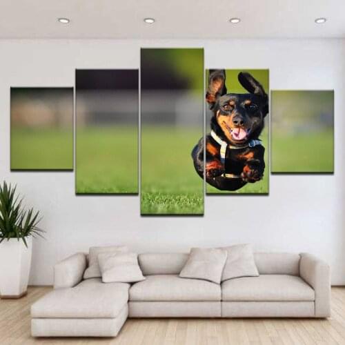Canvas Paintings 5 Pieces Black Cute Dog Poster Animal Pictures Dog Pictures Living Room Wall Art Picture Decor