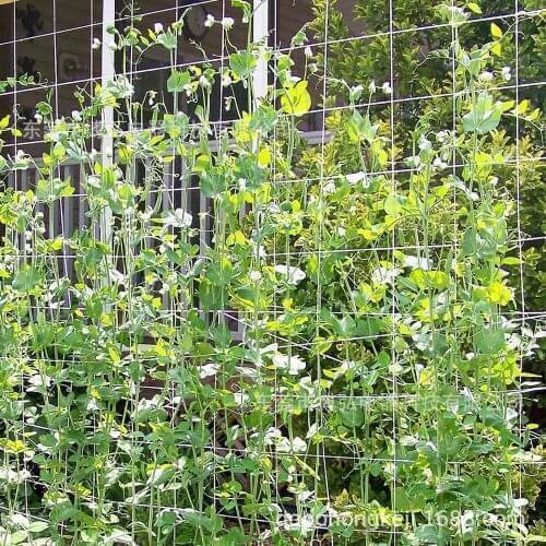 Trellis Netting Support Vine Weaving Grow Mesh Vegetable Flower Cucumber Landing Garden Frame Polyester Plant Climbing Net