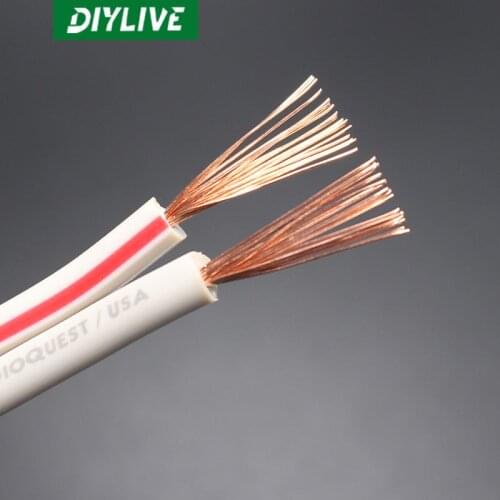 DIYLIVE Line Saint Flat Wire X-2 Horn Wire Professional Sound Wire Works Surround Connector Cable HIFI Fever Speaker Wire