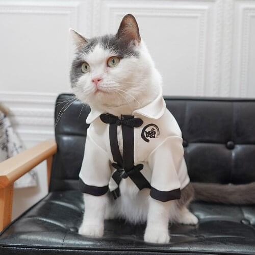 Cute Cat Clothes High Quality Pet Clothes Cat Dog Shirts Coat For Pet Clothing For Cat Small Puppy Hoodies Cat accessories