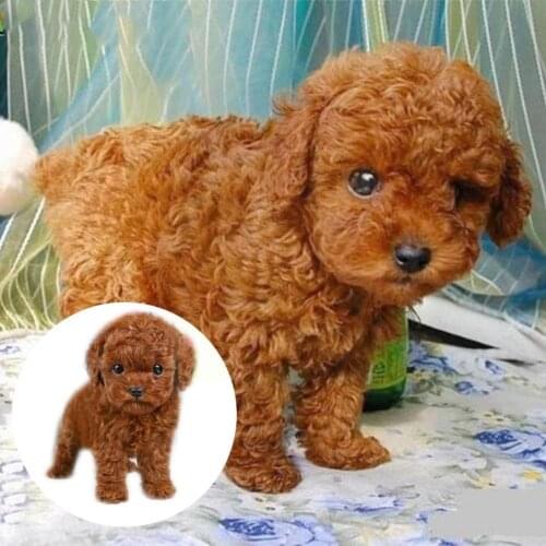 Realistic Teddy Dog Kids Plush Toys Cute Brown Simulation Kawaii Gifts Dolls Children Animals Present Lovely Stuffed Lifeli S3s4