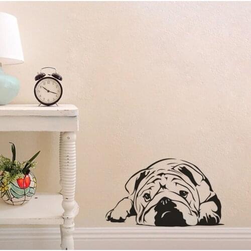 English Bulldog Dog Wall Sticker Pet Veterinary Grooming Salon Vinyl Wall Decals Art Mural Children Kids Room Home Decor Poster