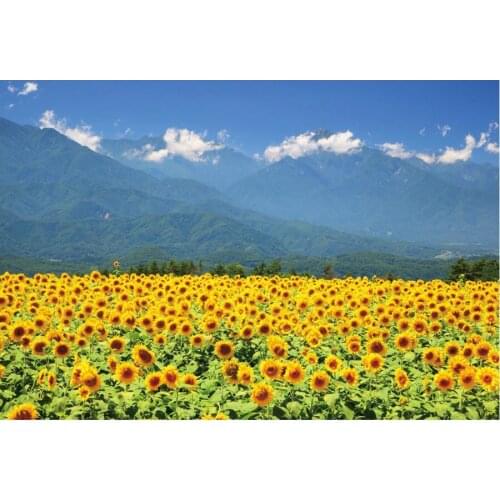 Plants Backdrop Sunflower and Snow Mountain Photography Background Holiday Celebration Photo Booth Studio Decor