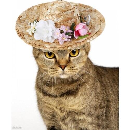 Sunshade Pet Hat Pet Straw Woven Hat Summer Sombrero with Pearl Lacel Decoration for Outdoor Party Beach Pet Supplies, 3 Types