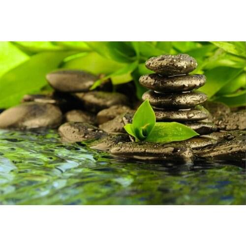 ZEN - Buddhism Bamboo Nature Art print Silk poster Home Wall Decor