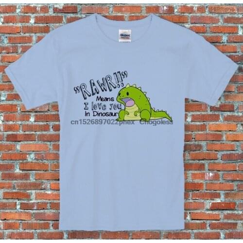 RAWR means 'I love you' in Dinosaur Cute Quote T Shirt S-2XL t shirt