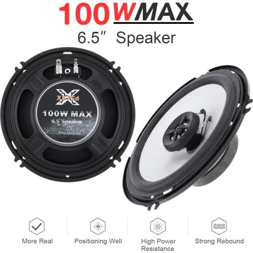 LaxINext Coaxial Speakers