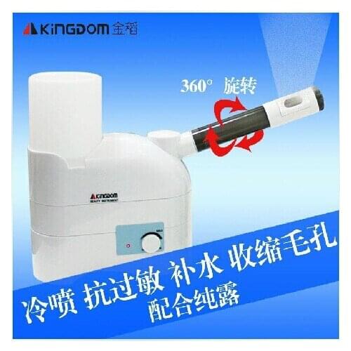 Professional Portable Mini Desktop Facial Steamer Ozone SPA Salon Equipment Cold spray machine