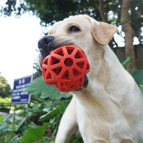 Pets Toys Leaking Bite A Molar Tooth Rubber Ball Puppy Alpinia Oxyphylla Training Dog Toys Labrador Golden Retriever Articles