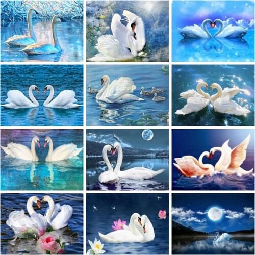 5D DIY Diamond Painting Abstract art goose series pictures Cross Stitch Diamond Embroidery New Handicrafts Home Decor Pictures