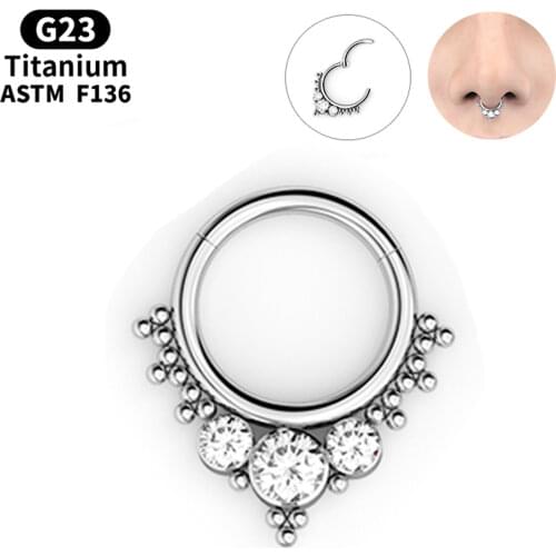 G23 Titanium Nose Rings Hoop Zircon Daith Helix Piercing Septum Clicker Hinged Segment Ear Tragus Cartilage Lip Earrings Jewelry