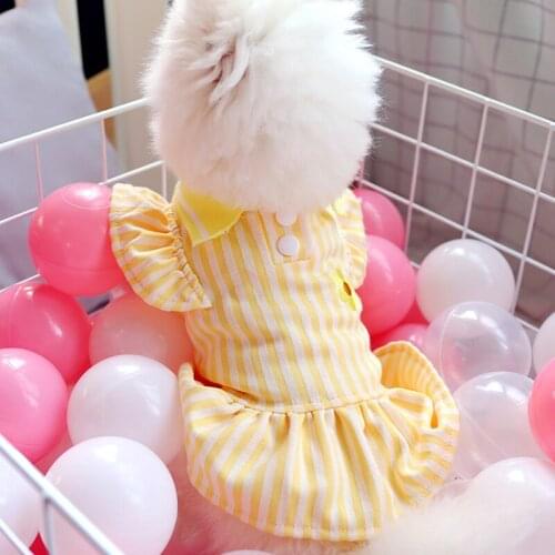 2021 New Puppy Dog Polo Neck Shirts Dress Fashion 100%Cotton Small Daisy Print Yellow Stripe Pet Clothes For Small Dog Chihuahua