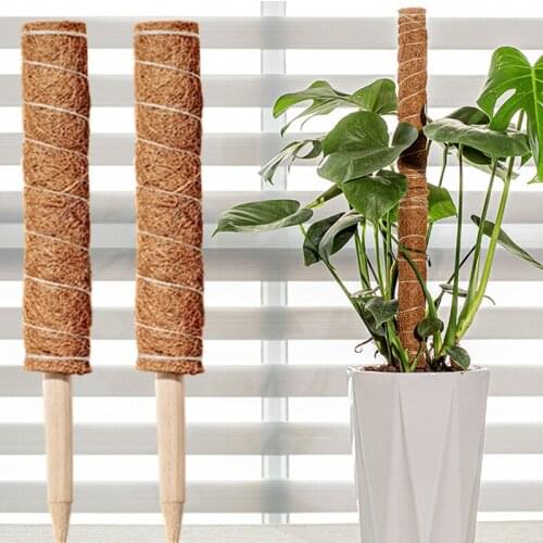 30/45/50cm Expansion Rods Stakes Vines Climbing Frame 30-50cm Coir Moss Totem Pole Coir Moss Totem Pole Plant Expansion Support