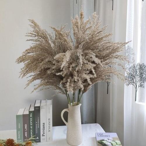 Plantas Natural Dried Pampas Grass Phragmites Communis Reed Wedding Flower Bunch Home Decor Diy Flores Preservadas Dekoration