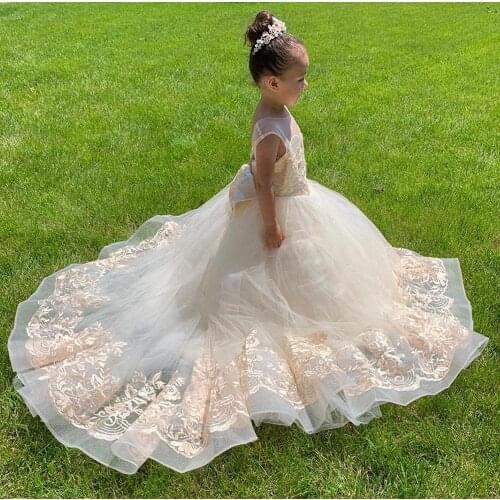 Champagne Lace Flower Girl Dresses Sheer Neck Todder Puffy Ball Gown for Wedding Communion Pageant Kids Dresses