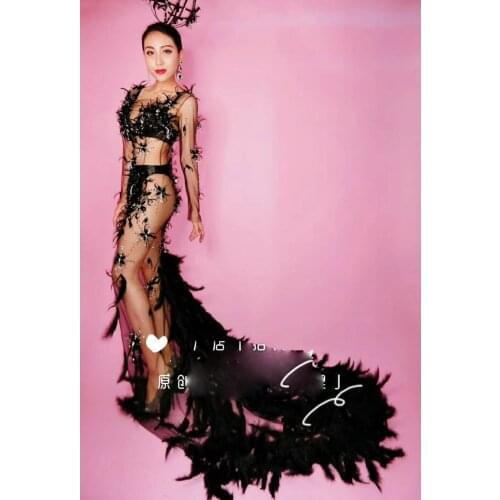 Evening Party Perspective Luxurious Dress Mesh Crystals See Through Feather Train Dress Prom Birthday Celebrate Dress