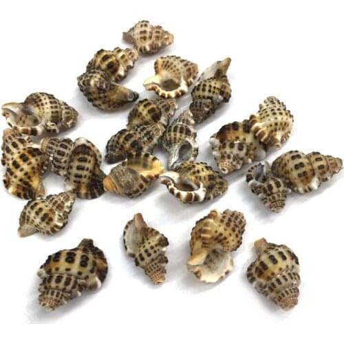 Natural shell fashion conch Pendants Charms Necklace pendant for Jewelry Making DIY Bracelet Necklaces Accessories Size 13x19mm