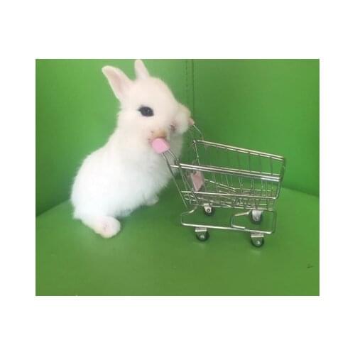Best selling rabbit toy photo props guinea pig mini cart lop rabbit bath cute artifact small pet supplies