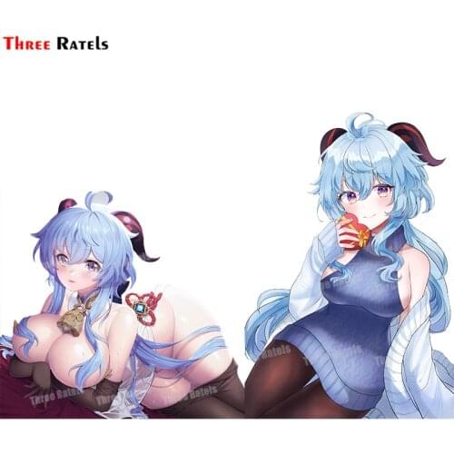 Three Ratels A258 Genshin Impact Horns No Bra Pantyhose Ryunbi Sweater Valentine Sticker For Passat B5 Vinyl Anti Scratch Film