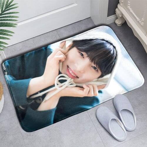 Xxihlive Entrance Carpets For Home