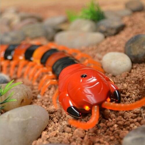 New Scary R/C Simulation Centipede With Remote Controller Kids Toy Gift