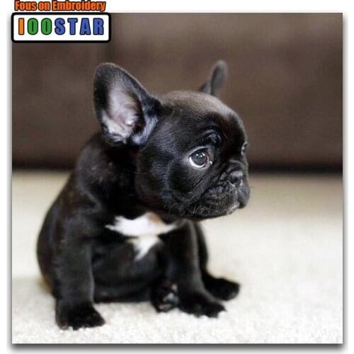 Full Square Diamond painting French Bulldog DIY Diamond mosaic black puppy Full Round Diamond embroidery Cross stitch animal dog