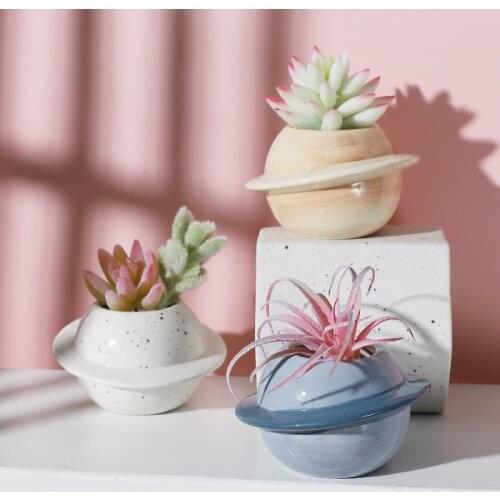 Home Garden Succulent Planet Ceramic Art Decoration Potted Plant Simplicity Creative Mini Garden Desktop Creative Crafts