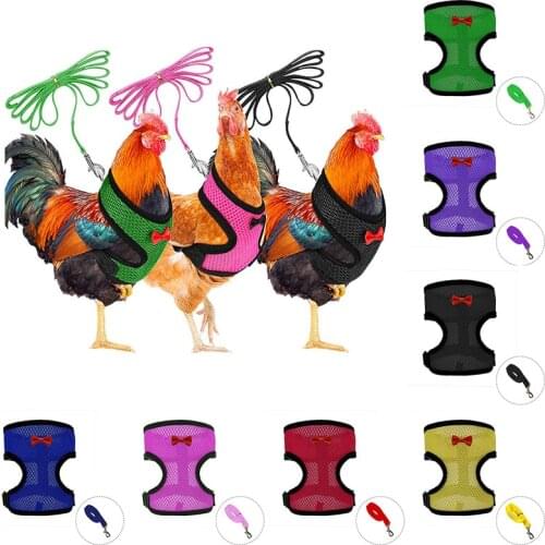 Summer Cool Mesh Cat Chicken Harness Leash Straps With Bowknot Breathable Safety Small Dog Puppy Harness Adjustable Chest Strip