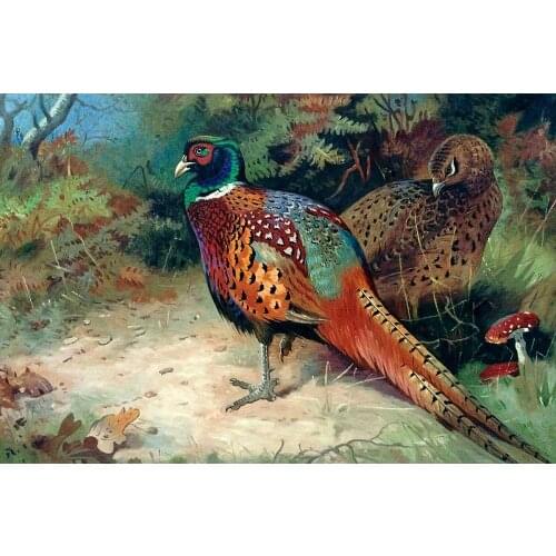 Handpainted Wall Canvas Animal Birds Oil Painting Home Decor Art Rooster and Hen, 1927 by Archibald Thorburn No Framed