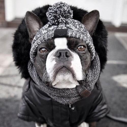 Winter Warm Dog Hat for Small Medium French Bulldog Knitted Cap Windproof Puffy Ball Pet Headgear