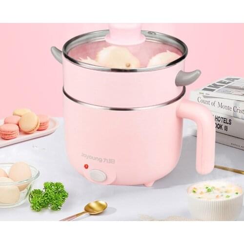220V Household Electric Cooker Steaming Boiling Multifunctional Desktop Hot Pot with Steamer Dormitory student Mini Electric Pot