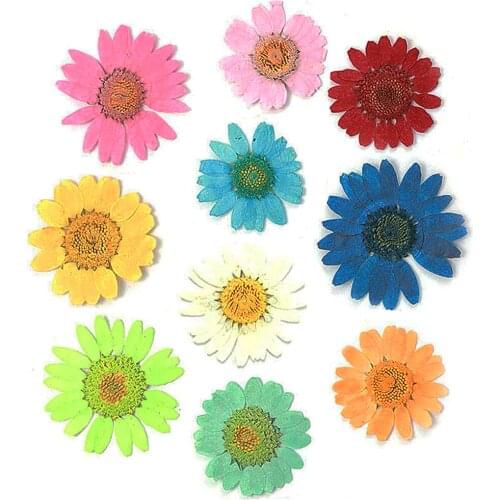 12 Pcs Real Chrysanthemum Dried Pressed Flower Nail Art Sticker Dry Plant 3D UV Gel False Tips DIY Decoration Design Manicure