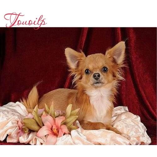 Lovely Chihuahua dog Diamond Embroidery Pictures Of Rhinestones Room Decoration Handcraft diamond Mosaics Diamond Painting Sets