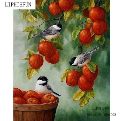 Decoration Diy Diamond Painting 5D Set Of Resins Embroidery Kits Diamond Mosaic Printed Tape Apple Birds Resin Craft