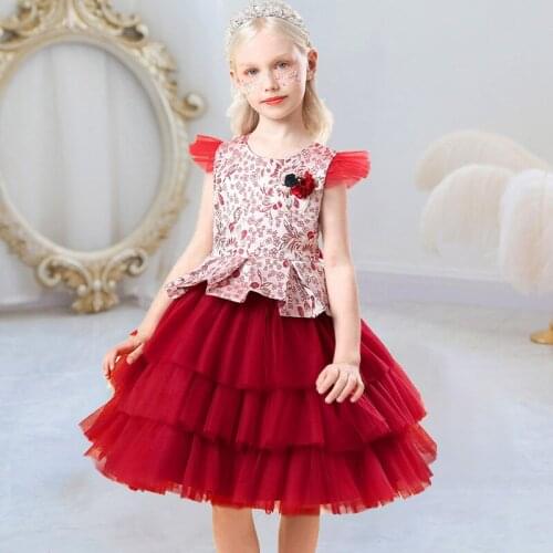 Cake Lace Embroidery Princess Dress for Baby Girl Flower Elegant Birthday Prom Dresses Party Christmas Halloween Kids Clothes