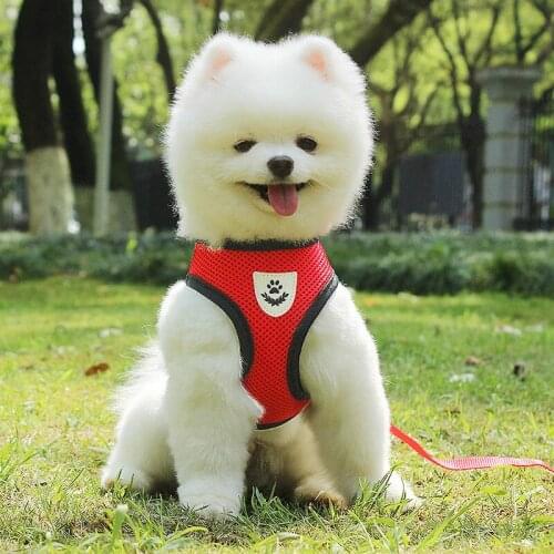 Dog Soft Reflective Adjustable Harnesses Walking Breathable Vest with Leash Small Dogs Vest Harnesses Pet Clothes Supplies