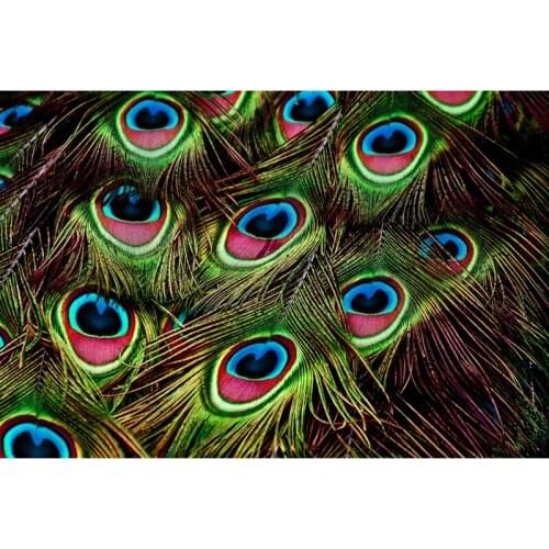 5d Diamond Painting Peacock Diamond Embroidery Animal Cross-Stitch Round Picture Of Resin American Style Home Decor Painting