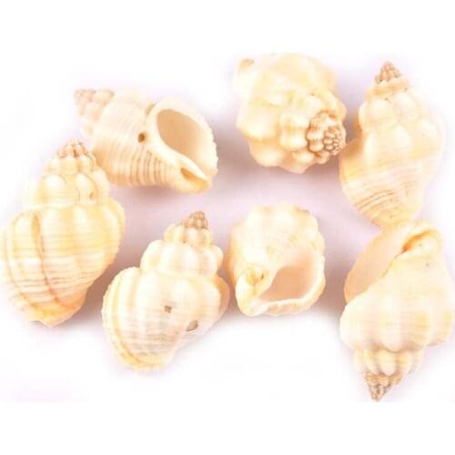 5pcs 3-5cm Natural Sea Shells For Glass Bottle Spiral Shell Handmade DIY Scrapbooking Crafts Home Decoration Accessories TR0284