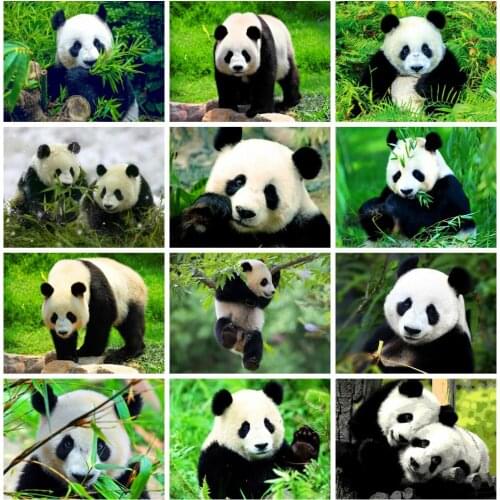 HUACAN 5D DIY Diamond Painting Full Square Drill Panda Animal Home Decoration Embroidery Picture Handcraft Art Kits