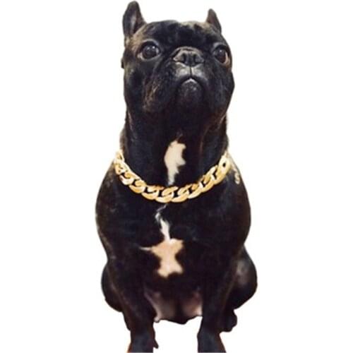 Teddy Bago law fighting dog bully gold chain small and medium dog collar pet necklace jewelry accessories Hot
