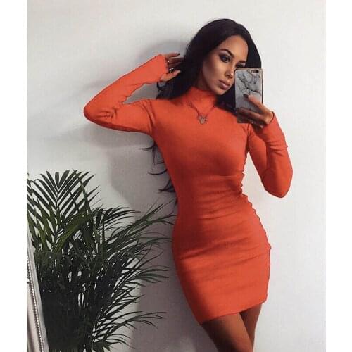 Echoine Ribbed Knit Long Sleeve Autumn Dress Slim Bodycon Turtleneck Mini White Dresses Sexy Club Outfits Vintage Vestidos