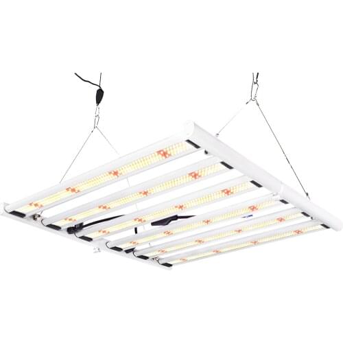 EVQ Professional Lighting