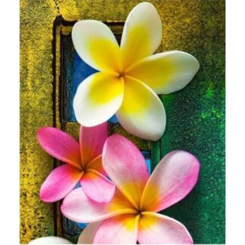 New Arrivals Diamond Painting Frangipani Full Round Flower Magnolia Kit 5D DIY Diamond Embroidery Mosaic Decorations Home