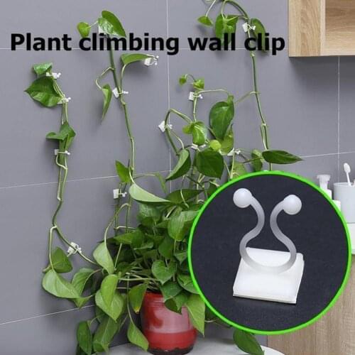 10Pcs/Set Saving Space Plant Clip Drill Free Flexible Climbing Wall Green Plant Fixer Vine Hook for Garden
