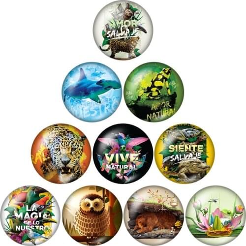 New Forest wild beast Animals 10pcs mixed 12mm/16mm/18mm/25mm Round photo glass cabochon demo flat back Making findings ZB0634
