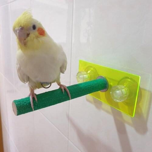 Parrot acrylic air station stand stick stand stick go out portable bird car bath color sucker stand stick