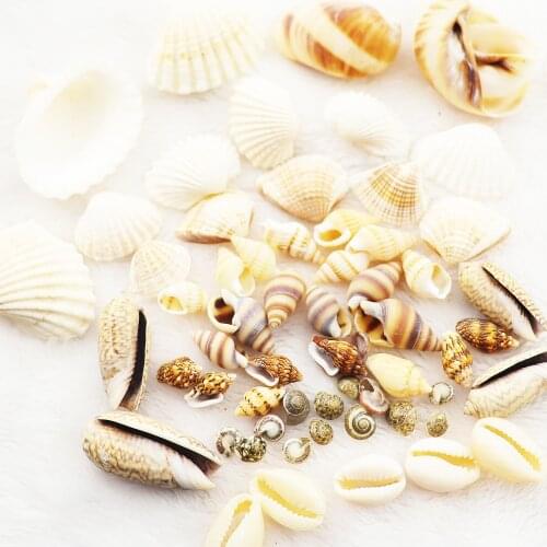 10 style Mix 50g/pack Natural shell conch Filling Tools Ocean Style DIY UV Epoxy Resin Mold Decoration Jewelry Finding