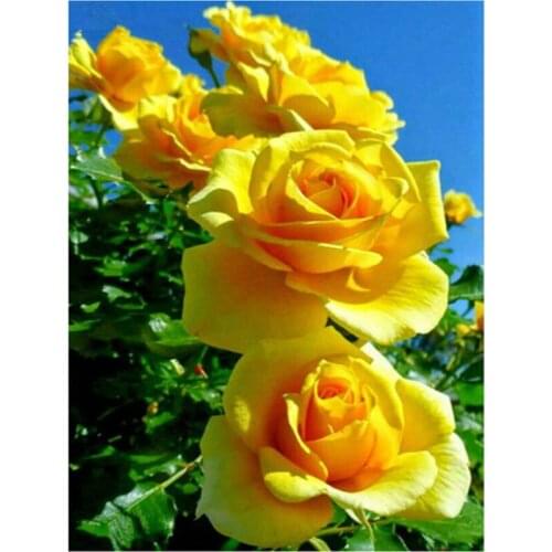 Full Square /Round 5D DIY Diamond Painting Yellow rose picture Rhinestones Mosaic Diamond Embroidery Sale home decoration FG1805