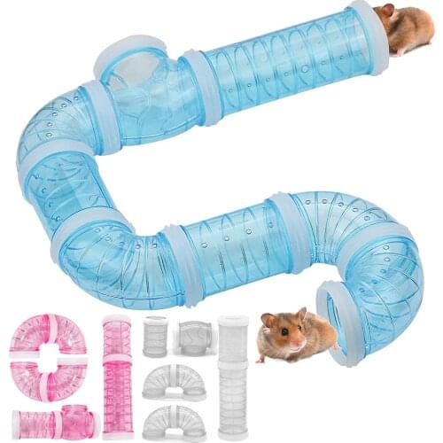 CMinYP Rodent Tunnels