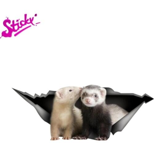 STICKY Personality 3D Car Sticker Ferret Pet Animal Decals Auto Accessories Car Window Waterproof Trunk Guitar Vinyl Sticker